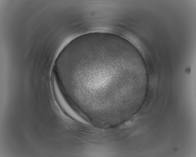 X0000092231283200709281056