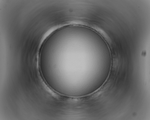 X0000092231286200709281056