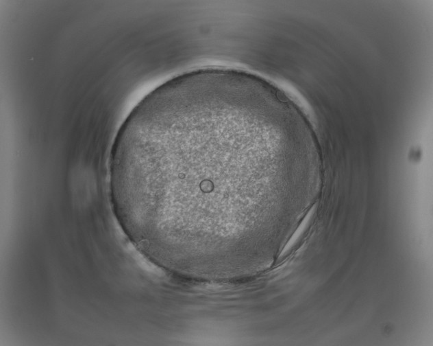 X0000092231287200709281056