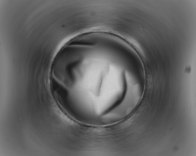 X0000092231288200709281056