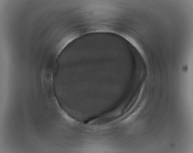 X0000092231289200709281056