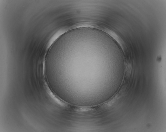 X0000092231290200709281056