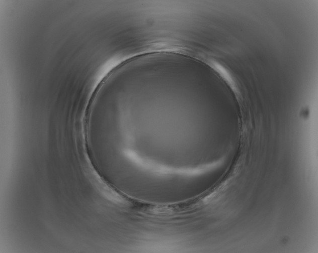 X0000092231291200709281056