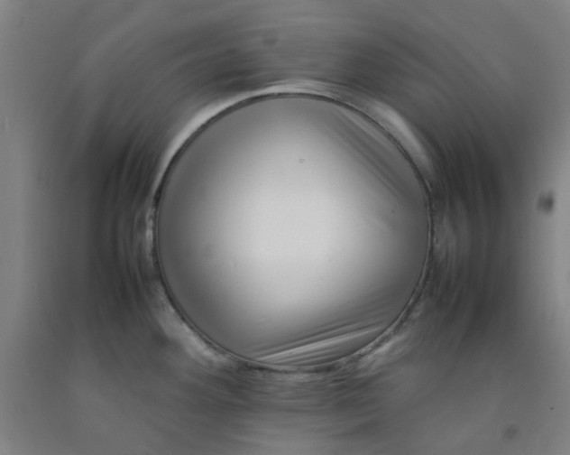 X0000092231292200709281056