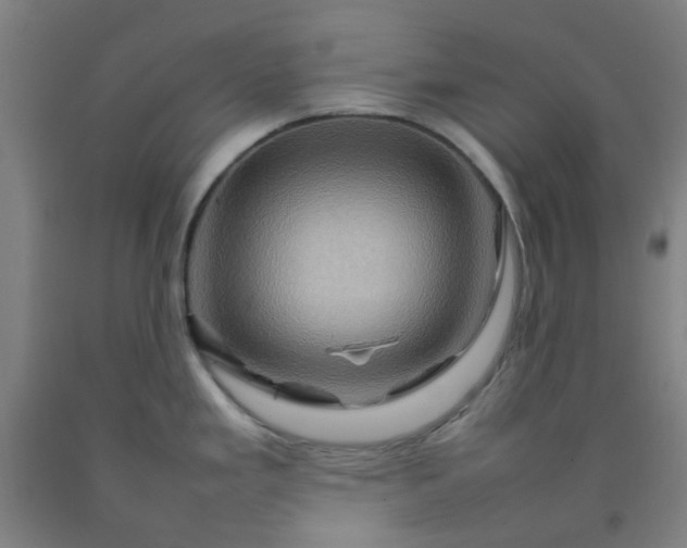 X0000092231293200709281056
