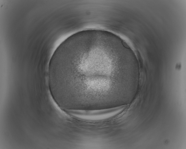 X0000092231295200709281056