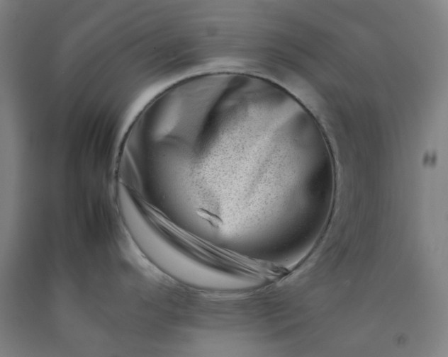 X0000092231296200709281056