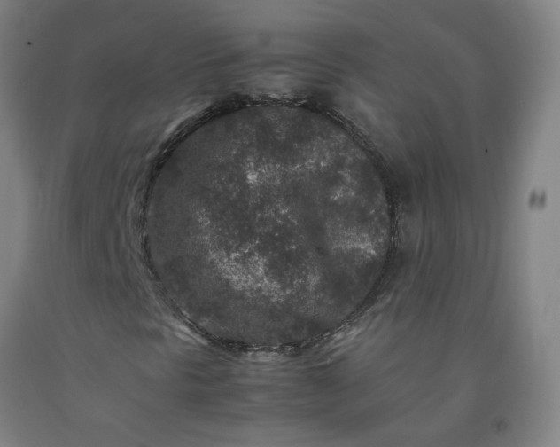 X0000092231297200709281056