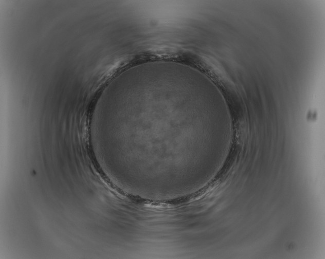 X0000092231298200709281056