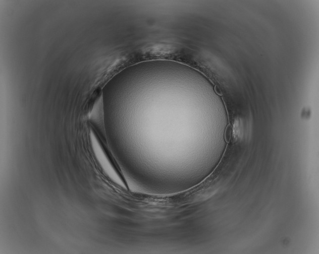 X0000092231299200709281056