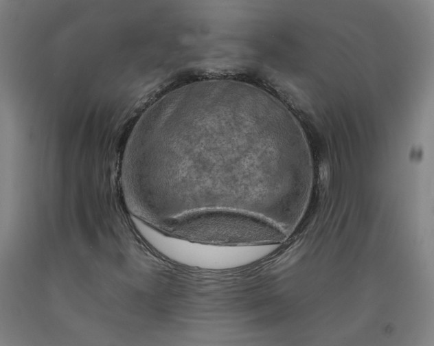 X0000092231300200709281056