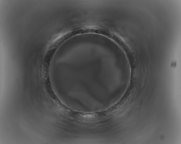 X0000092231303200709281056