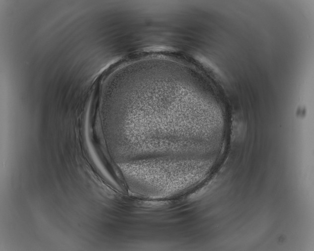 X0000092231305200709281056