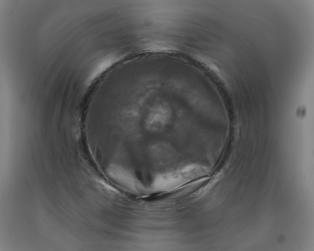 X0000092231306200709281056