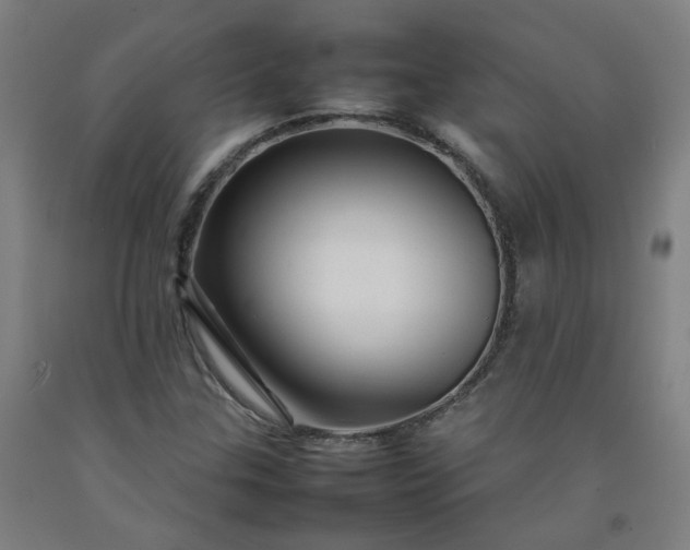 X0000092231307200709281056