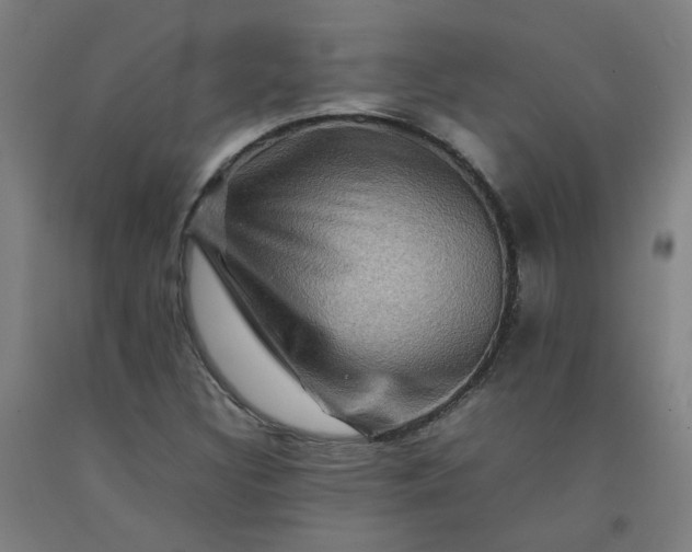 X0000092231308200709281056