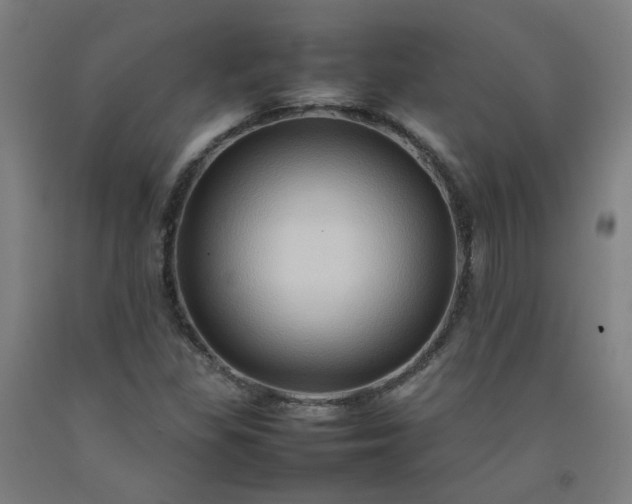 X0000092231309200709281056