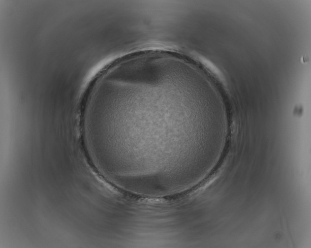X0000092231310200709281056
