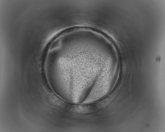 X0000092231311200709281056