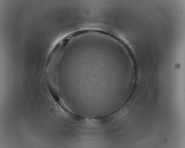 X0000092231312200709281056