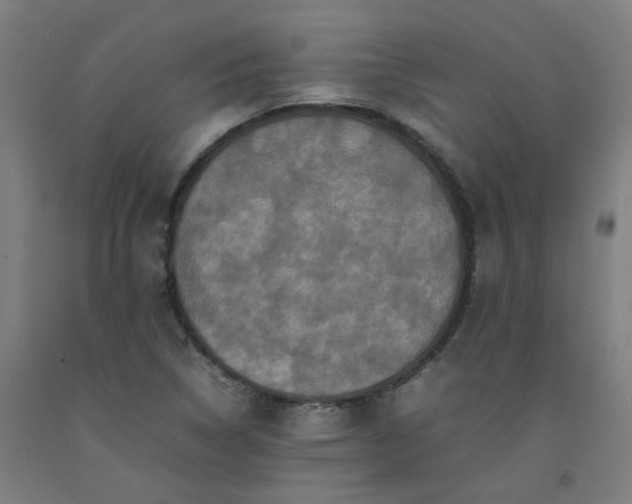 X0000092231314200709281056