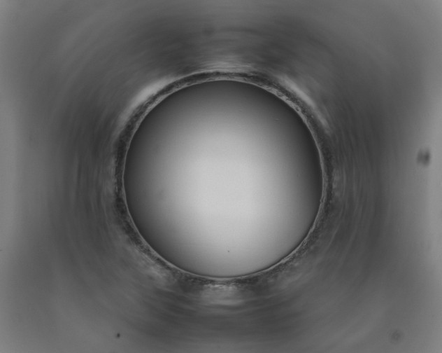 X0000092231315200709281056