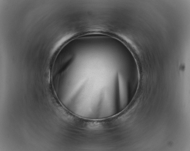 X0000092231317200709281056