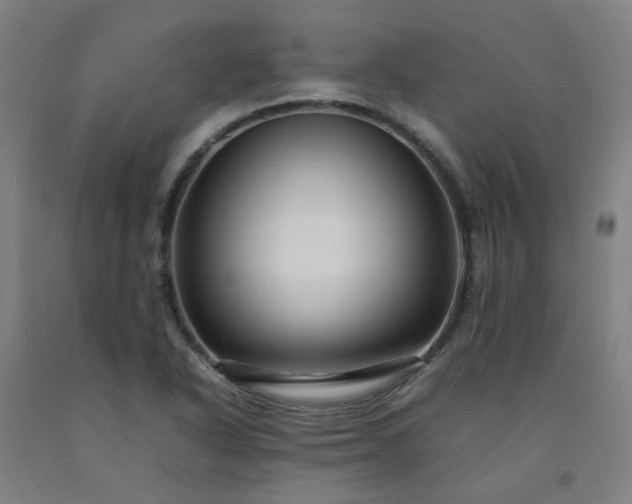X0000092231318200709281056