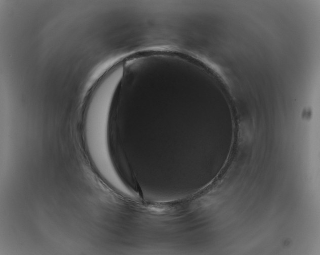 X0000092231319200709281056