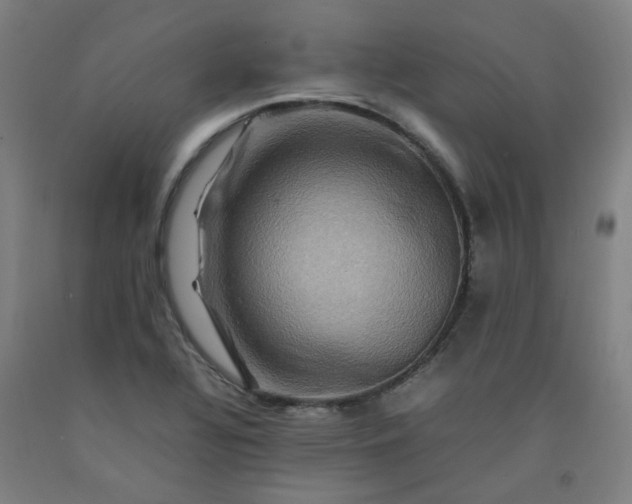 X0000092231320200709281056