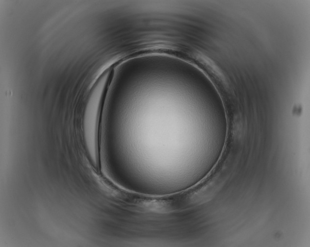 X0000092231321200709281056
