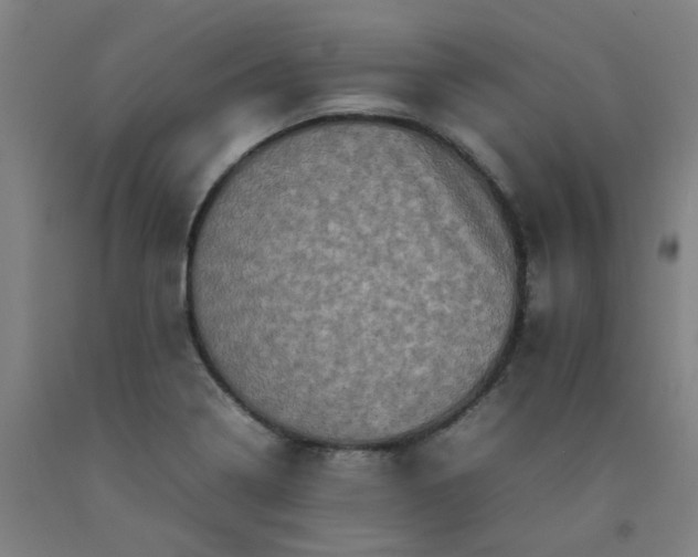 X0000092231322200709281056