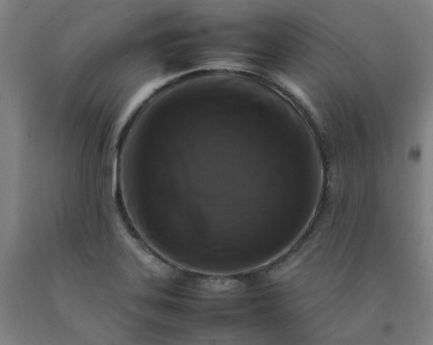 X0000092231323200709281056
