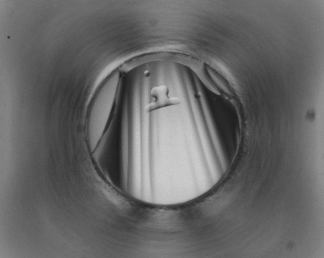X0000092231324200709281056