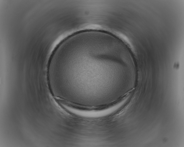X0000092231326200709281056