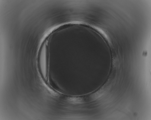 X0000092231327200709281056