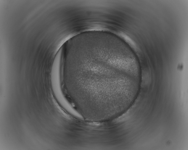 X0000092231329200709281056
