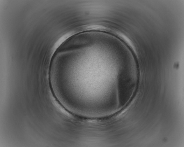 X0000092231330200709281056