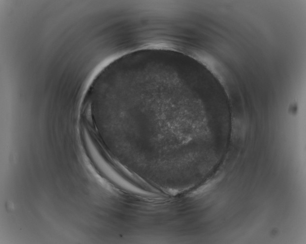 X0000092231331200709281056