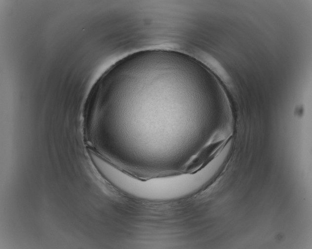 X0000092231332200709281056