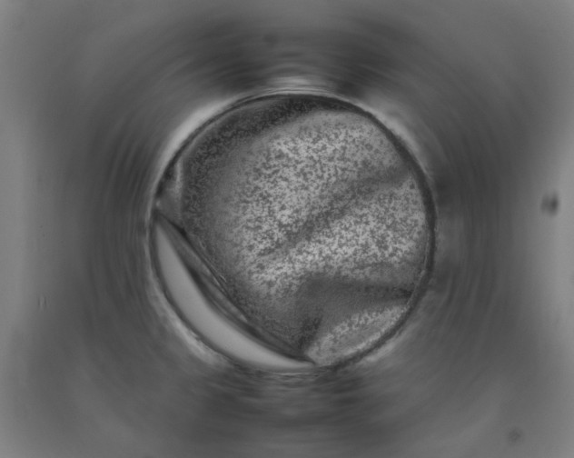 X0000092231333200709281056
