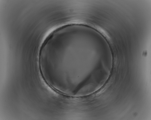 X0000092231334200709281056