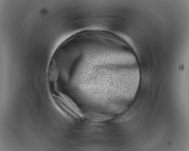 X0000092231335200709281056