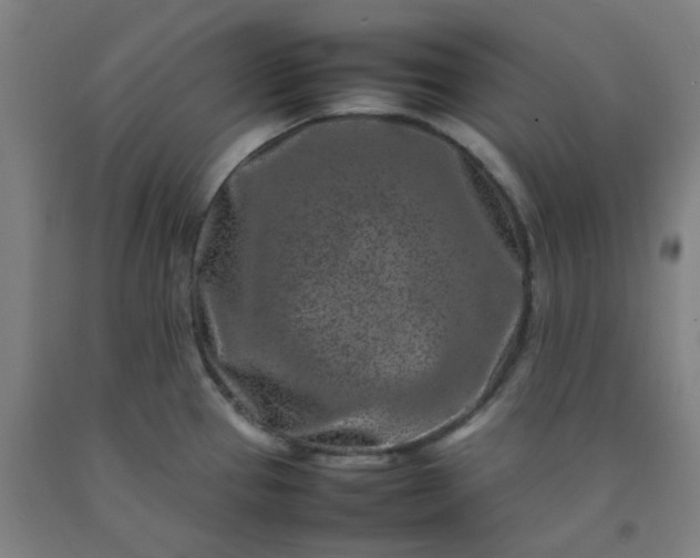 X0000092231337200709281056