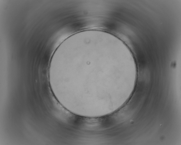 X0000092231338200709281056