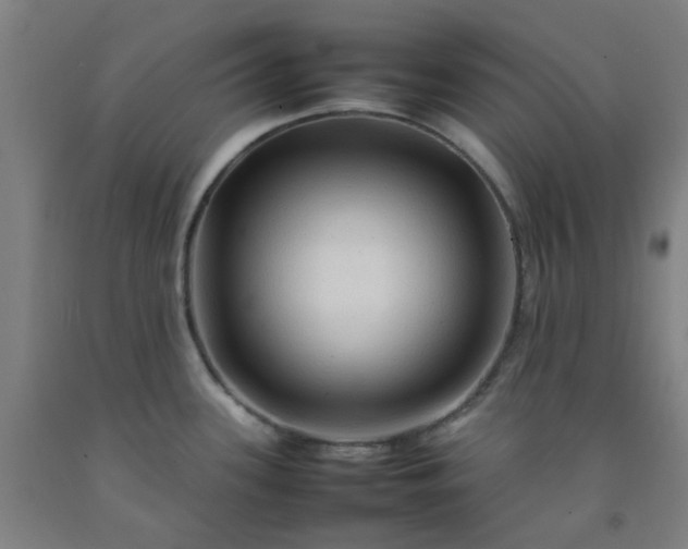 X0000092231339200709281056
