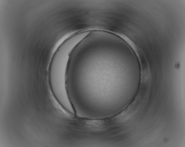 X0000092231341200709281056