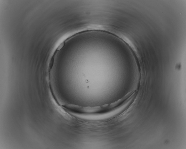 X0000092231342200709281056