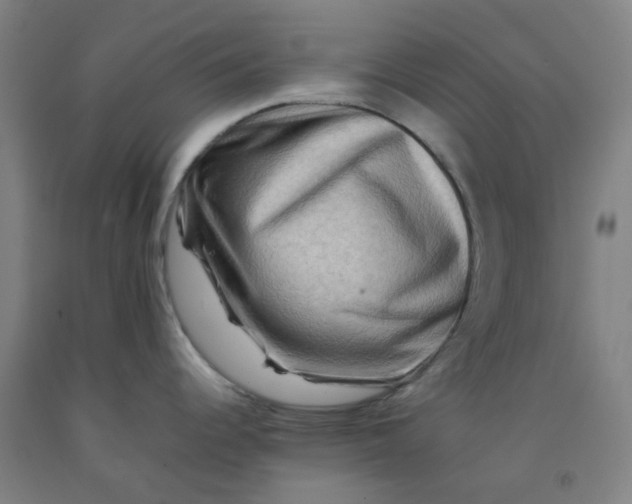 X0000092231344200709281056