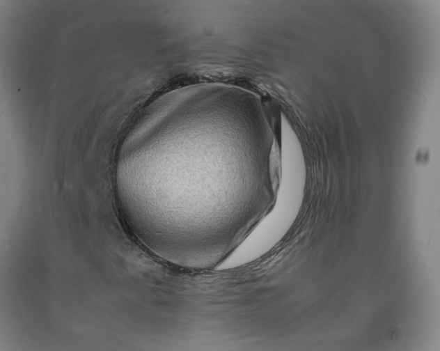 X0000092231345200709281056